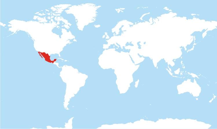 mapa Meksiko globalne