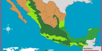 Mapa Meksiko šume